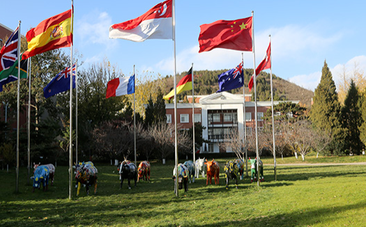北京私立汇佳学校