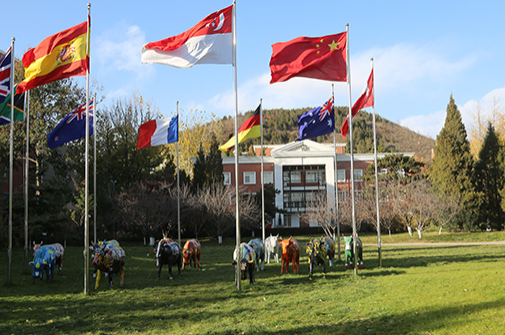 北京私立汇佳学校