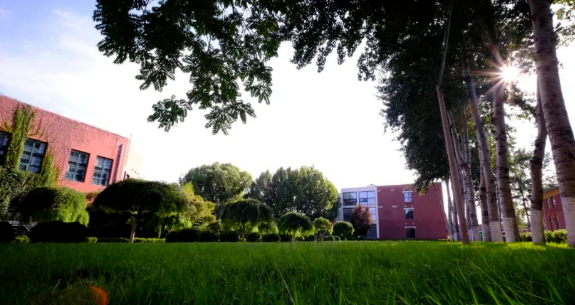 北京通州私立树人学校2023年招生计划及学费