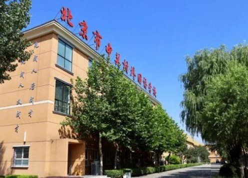 北京市中关村外国语学校2023年学费标准