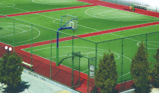 北京中加学校