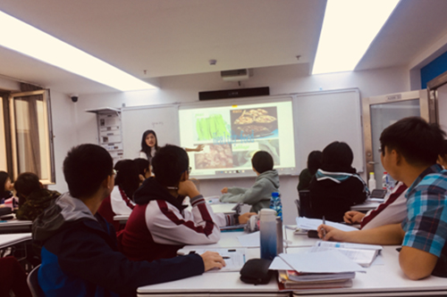 北京外国语大学国际高中