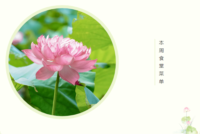 朝阳义塾本周食堂菜单（2024年11月4日~2024年11月8日）