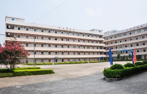 国际学校择校，家长必知的择校干货指南