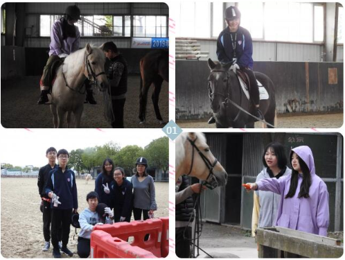 华二紫竹莱蒙尼亚马术体验课.jpg