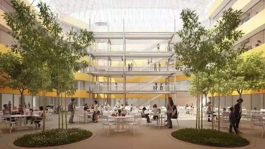 深圳荟同国际学校招生简章