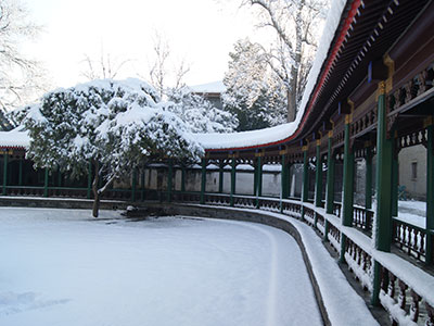 领科教育北京校区2020年招生入学
