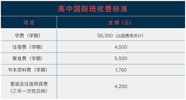 2021武汉海淀外国语实验学校高中国际班招生简章