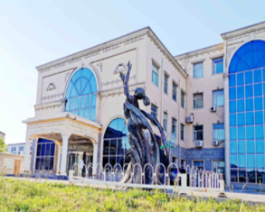 北京橘郡美高国际学校