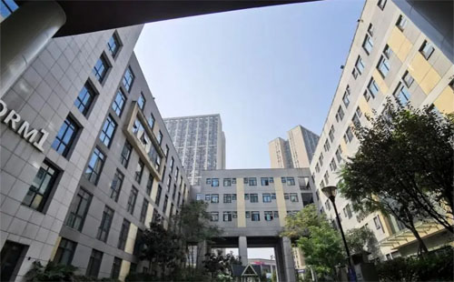 2025年重庆德普外国语学校国际高中招生信息