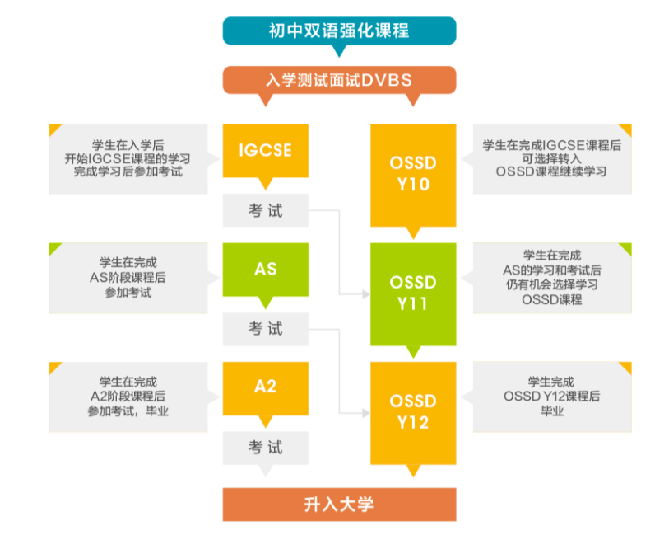 大连文谷国际部2025年招生简章！