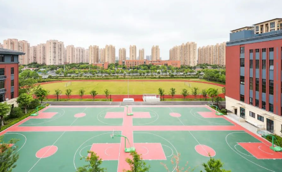 上海民办行中中学国际部2025年招生简章