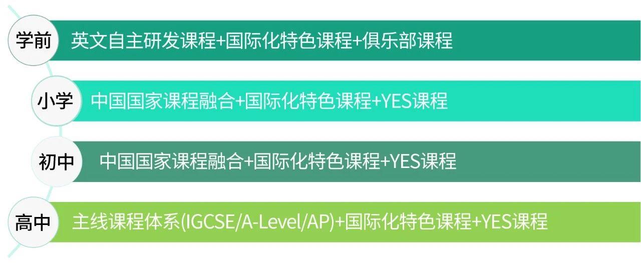 青岛新东方双语学校2024年招生简章！