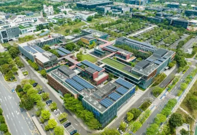 2025年深圳湾国际艺术教育招生学费、招生对象、招生年级