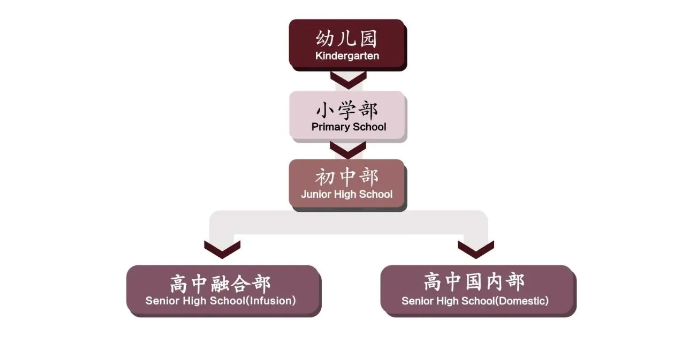 上外附属杭州学校国际课程各阶段介绍