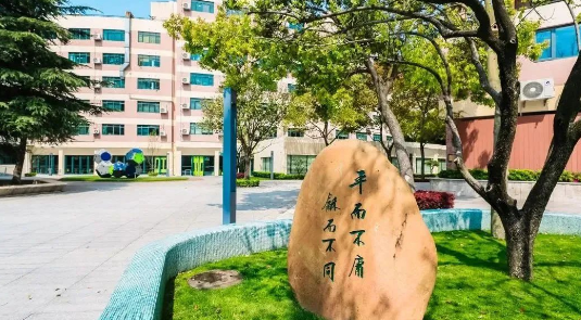 平和哲学、世外二外、WLSA上海菁英课程......盘点上海国际学校“杀手锏”课程！