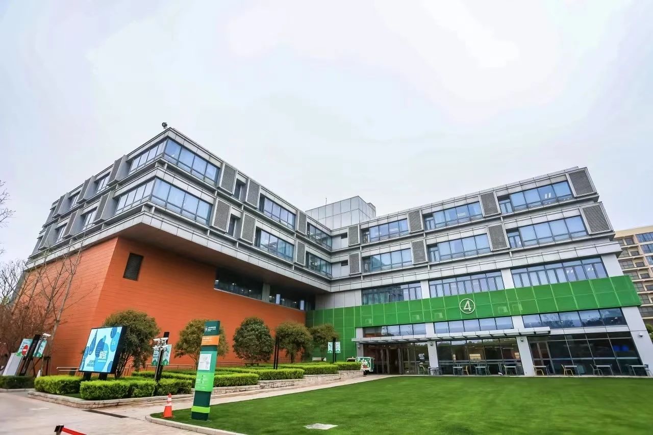 刚结束中考的江浙家庭，扎堆挤进沪上国际学校？