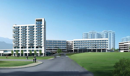 国际学校