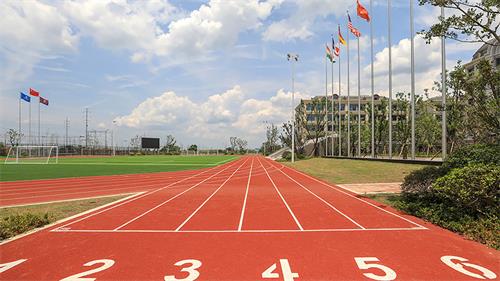 合肥新华公学2022年秋季入学条件