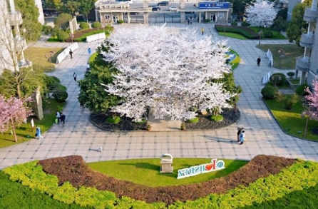 杭州师范大学附属中学国际部