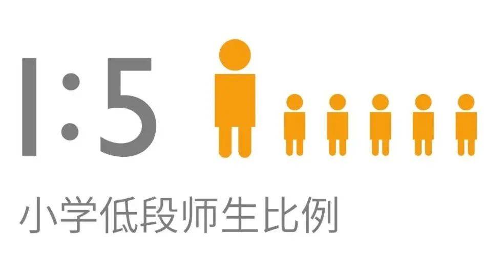 杭州惠立学校招生课程介绍