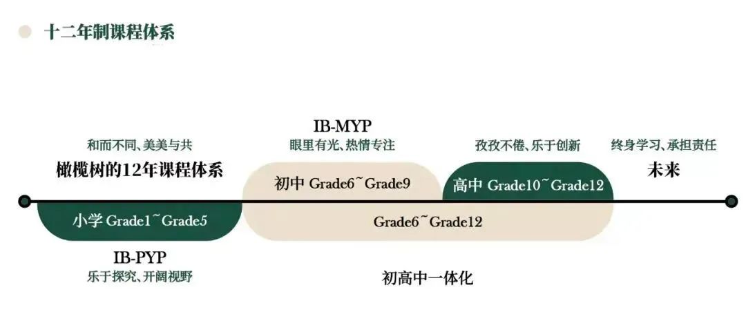 杭州橄榄树学校课程深度剖析