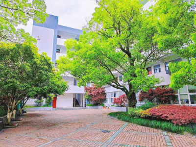 杭州仁和建人国际部