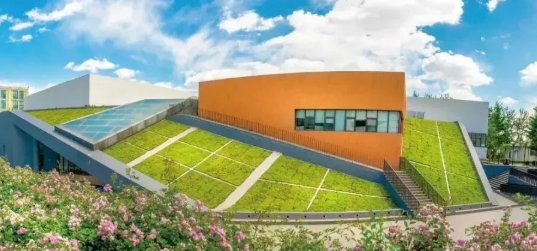 济南枫叶双语学校高中部1+3/2+2国内大学项目介绍--中央财经大学