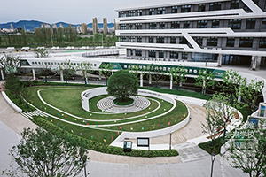 南京金地未来学校艺术班有哪些课程？