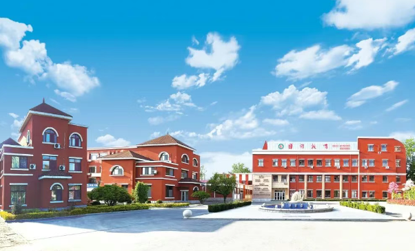 青岛国开中学国际部香港DSE课程2025招生简章