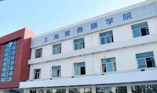 上海常青藤学校招生对象及入学步骤