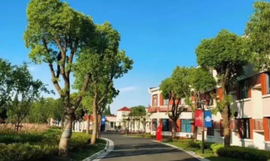 上海宏润博源学校招生考试时间