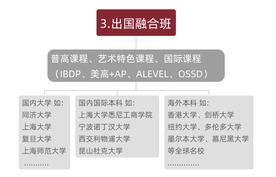 上海美达菲双语高级中学 | 2023年秋季招生简章