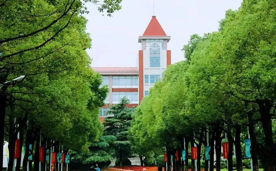 上海英澳美学校学校