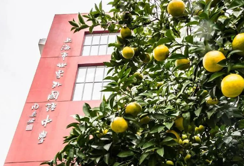 上海世界外国语中学高中学费