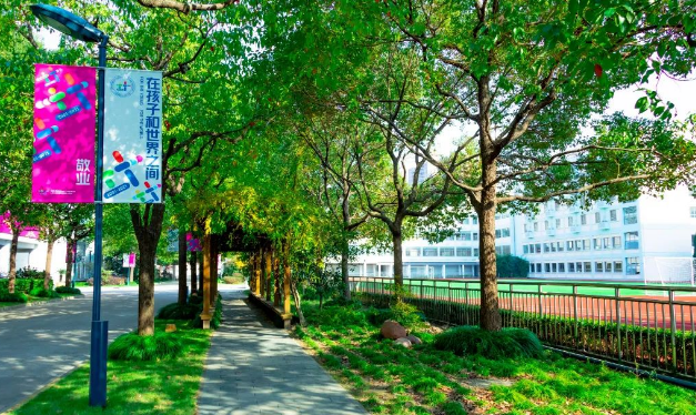 上海杨浦双语国际高中2024年秋招生信息