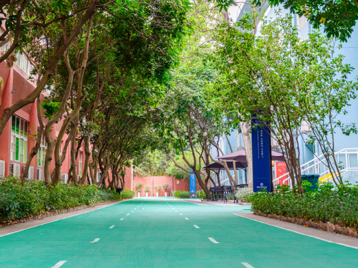 深圳市博纳学校HKDSE2025招生简章