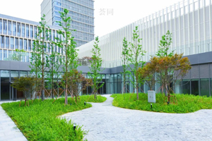 苏州荟同学校