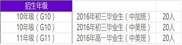 国际学校