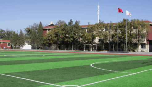天津格瑞思国际学校2023年入学条件