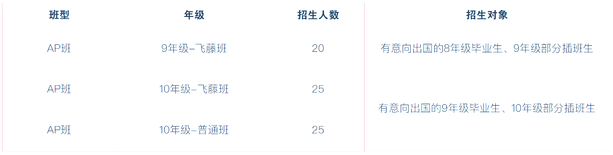 武汉海淀外国语实验高中国际部招生信息
