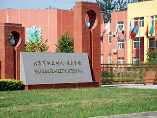 北京私立树人·瑞贝学校2024年春季招生在线登记预约报名开启!