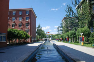 北京中加学校