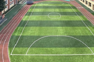 成都沃顿公学